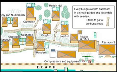 Froggies Resort Map